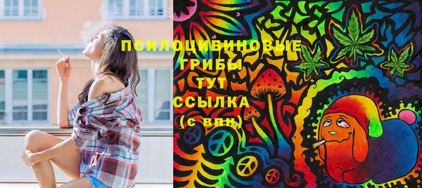 альфа пвп Каменка